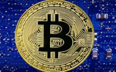 Script that Builds your Bitcoin Investment Business Effectively