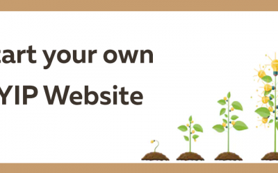 Steps to start your own HYIP website – Updated 2021