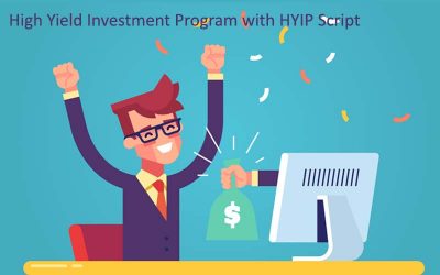 How a High Yield Investment Program Works With HYIP Script