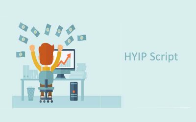 How does HYIP Script work?