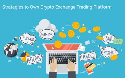 Strategies to Own a Cryptocurrency Exchange trading platform