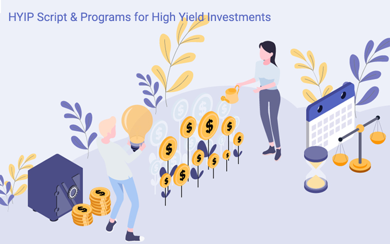 Things to Know About HYIP Script and Programs for High Yield Investments