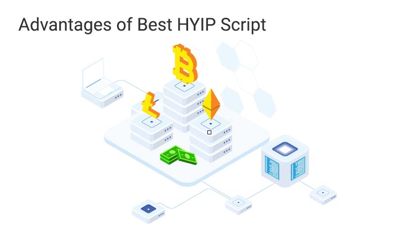 Advantage of Best HYIP Script