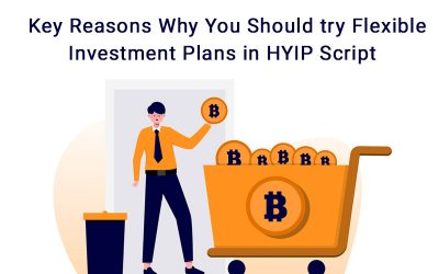 Key Reasons Why You Should try Flexible Investment Plans in HYIP Script