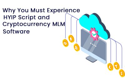 Why You Must Experience HYIP Script and Cryptocurrency MLM Software