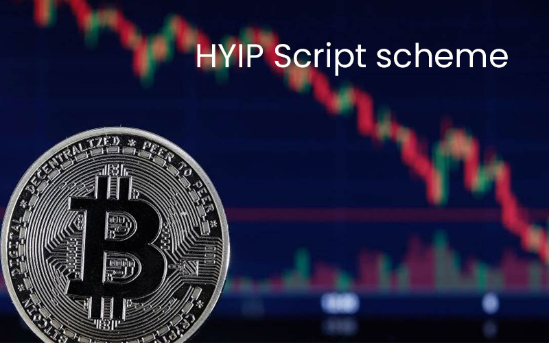 HYIP Script scheme