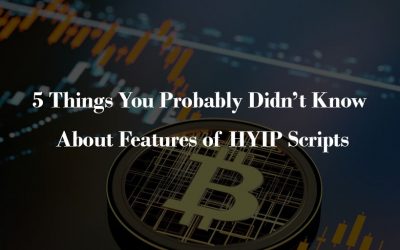 5 Things You Probably Didn’t Know About Features of HYIP Scripts