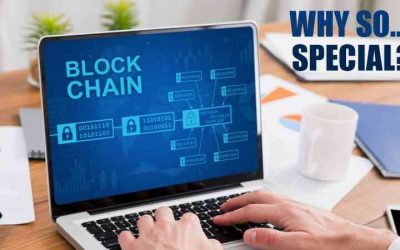 What’s So Special About HYIP Script and Blockchain Technology That Everyone Went Crazy Over It?