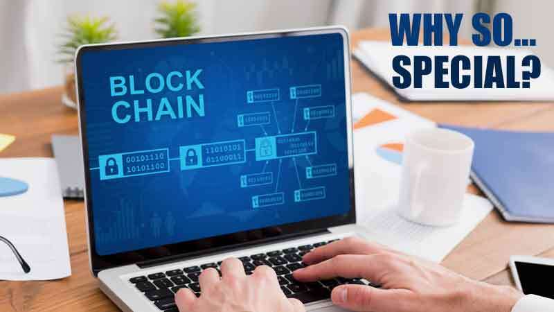 What’s So Special About HYIP Script and Blockchain Technology That Everyone Went Crazy Over It?