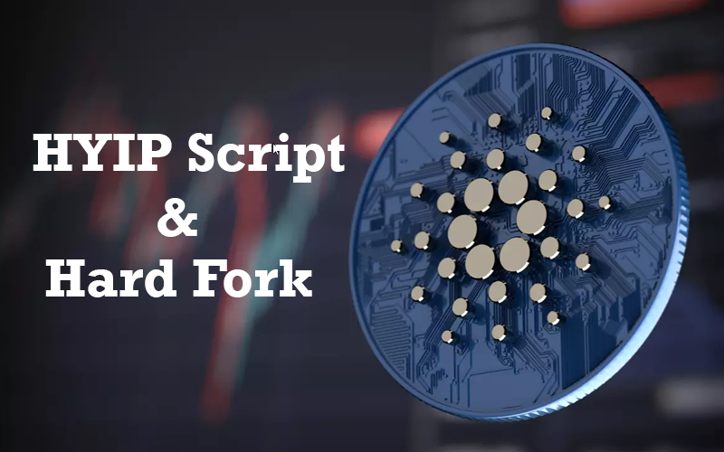 HYIP Script & Hard Fork