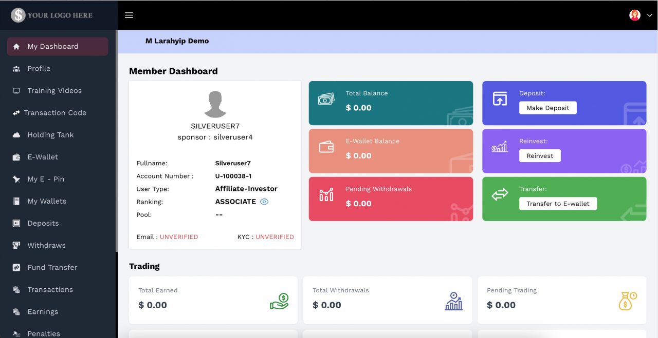 HYIP software admin dashboard showing investment portfolio overview and member activity