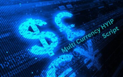 Multi Currency HYIP Script: Expand Your Global Market Reach