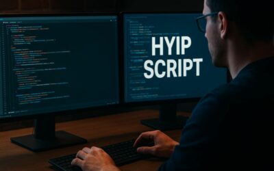 HYIP Business Model Explained: Understanding High-Yield Investment Programs