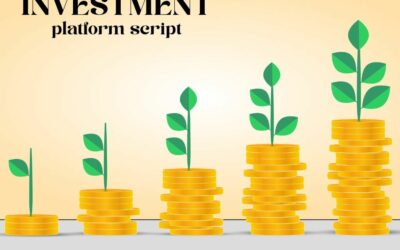 Investment Platform Script Comparison: Choose Your Perfect Solution
