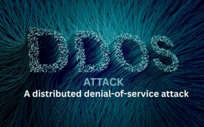 UNBREAKABLE: HYIP Software with DDoS Protection (99.9% Uptime Guaranteed)