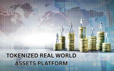 Tokenized Real World Assets Platform: Democratizing Investment Access